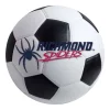 Fanmats University of Richmond Soccer Ball -Rugs&Mats Official Shop Grainger G5670487
