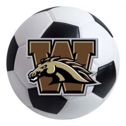 Fanmats Western Michigan Soccer Ball