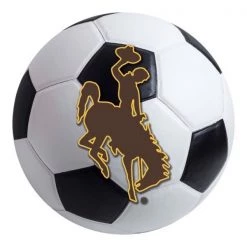 Fanmats Wyoming Soccer Ball, 27"