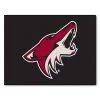 Fanmats Arizona Coyotes All-Star Mat -Rugs&Mats Official Shop Grainger G5680269