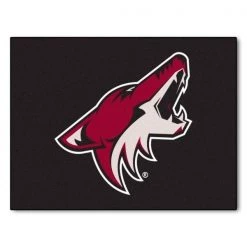 Fanmats Arizona Coyotes All-Star Mat