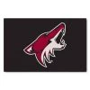 Fanmats Arizona Coyotes Starter Mat