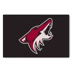 Fanmats Arizona Coyotes Starter Mat