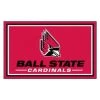 Fanmats Ball State 4x6 Rug