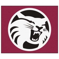 Fanmats Cal State - Chico Tailgater Rug 5x6