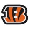 Fanmats Cincinnati Bengals Mascot Mat -Rugs&Mats Official Shop Grainger G5690671