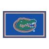 Fanmats Florida 4x6 Rug