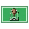 Fanmats Marshall 4x6 Rug -Rugs&Mats Official Shop Grainger G5712277