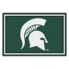 Fanmats Michigan State, 8 ft.x10 ft. Rug -Rugs&Mats Official Shop Grainger G5744763