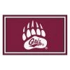 Fanmats Montana, 4 ft.x6 ft. Rug -Rugs&Mats Official Shop Grainger G5747773