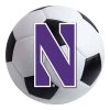 Fanmats Northwestern Soccer Ball, 27" dia. -Rugs&Mats Official Shop Grainger G5755710