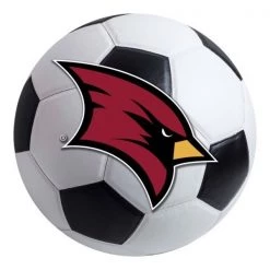 Fanmats Saginaw Valley State Soccer Ball