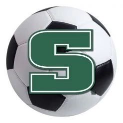 Fanmats Slippery Rock Soccer Ball, 27" dia.
