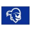 Fanmats Seton Hall Starter Rug, 19"x30"