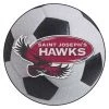 Fanmats St. Josephs Soccer Ball, 27" dia. -Rugs&Mats Official Shop Grainger G5767732