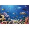 Carpets for Kids 61014 4 x 6 ft. Rectangle Explore the Ocean Rug -Rugs&Mats Official Shop Unbeatablesale20Inc CPFK2125xx650xx8cea40