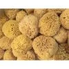 Greciansoap NWS5 5-6 in. Natural Sea Wool Sponges -Rugs&Mats Official Shop Unbeatablesale20Inc GRCN1029xx650xxfb5240