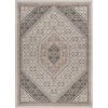 LR Resources DUNEC81667WSA7995 Botanical Traditional Rectangle Area Rug - Ivory & Blush -Rugs&Mats Official Shop Unbeatablesale20Inc LRR5236xx650xxbed150