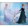 Disney 821746 4 ft. 3 in. x 5 ft. 8 in. Disney Frozen 2 Snow & Ice Room Rug -Rugs&Mats Official Shop Unbeatablesale20Inc MNMR94564xx1200xxac26b6