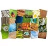 Flagship Carpets 1595546 Natures Beauty Stow-N-Go Carpet Squares; 16 in.; Set of 24 -Rugs&Mats Official Shop Unbeatablesale20Inc SSPC162106xx650xxa25817