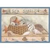 Associated Weavers Custom Printed Rugs SEASHELLS Seashells Rug
