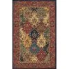 Nourison 12031 India House Area Rug Collection Multi Color 2 ft 6 in. x 4 ft Rectangle -Rugs&Mats Official Shop Unbeatablesale20Inc nrsn1580xx650xx87543c