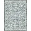 Radici Usa Inc Radici USA 3564-0051-GREEN Colosseo Area Rug; Green - 5 ft. 3 in. x 7 ft. 3 in.