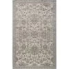 Rugs America 26025 Riviera Light Blue Rectangle Oriental Rug; 8 x 10 ft. -Rugs&Mats Official Shop Unbeatablesale20Inc rgam3543xx650xxd1024c