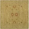 Safavieh AT822B-8SQ 8 x 8 ft. Square Traditional Antiquity; Brown and Beige Hand Tufted Rug