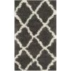 Safavieh SGD257A-4 Dallas Shag Power Loomed Rectangle Rug; Dark Grey - Ivory; 4 x 6 ft.